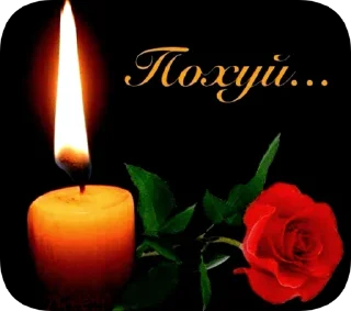 Стикер истинный_поху(й)ист - 11