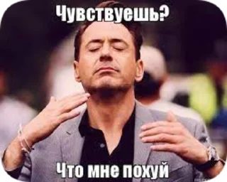 Стикер истинный_поху(й)ист - 9