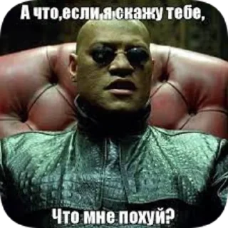 Стикер истинный_поху(й)ист - 4