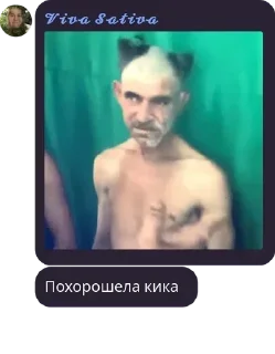 Стикер Похорошела Кика @aaananasikkkk - 9