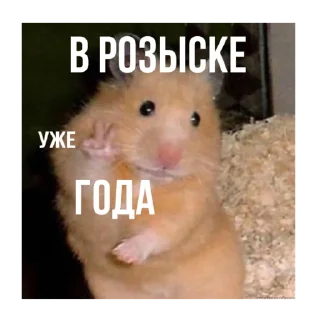 Стикер pojebało - 10