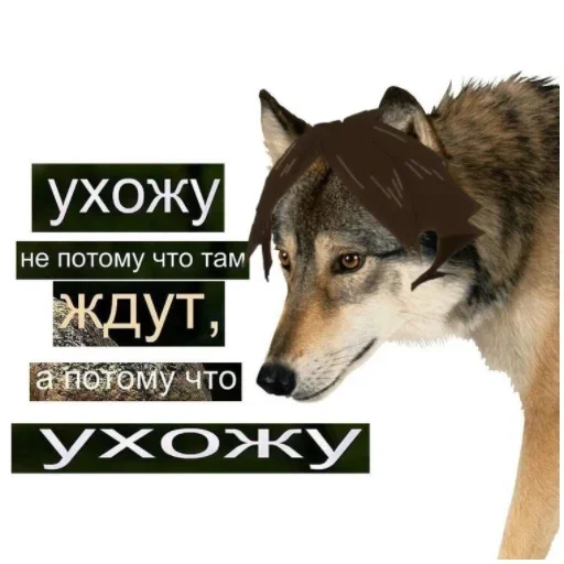 Sticker якто :: @fStikBot - 6