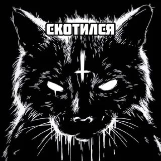 Стикер polaskyf - 3