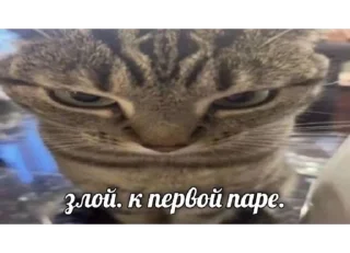 Стикер Белая вечеринка - 2