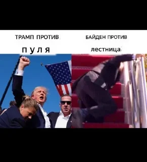 Sticker Trumpism @stickersb2b - 11