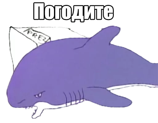 text marine mammal fish