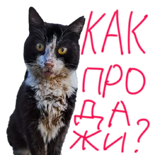 Sticker Вова нахуярил стикер - 0