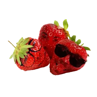 Sticker Спецпідрозділ "Полуничка" - 4