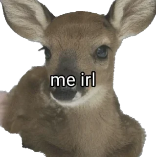 Стикер ⋆˙⟡ nomuas ⟡˙⋆ @jenomuas - 8