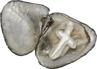 Стикер ⋆˙⟡ nomuas ⟡˙⋆ @jenomuas - 6