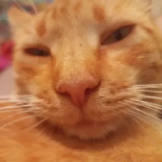 Sticker pomogite - 3