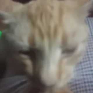 Sticker pomogite - 2