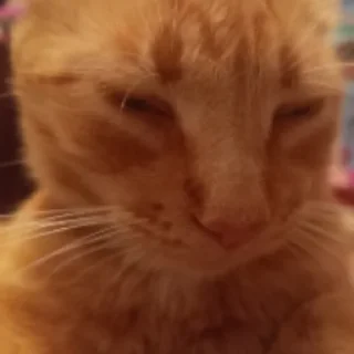 Sticker pomogite - 1