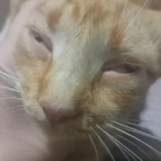 Sticker pomogite - 5