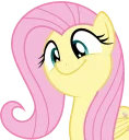 Sticker Ponymotes - 10