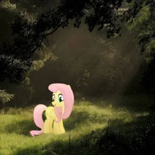 Стикер поняши от @cesdy - 3