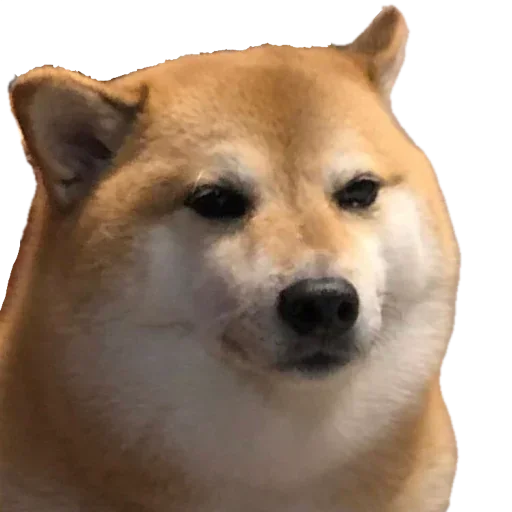 Sticker избранное говно андрея @LIG4TG - 9