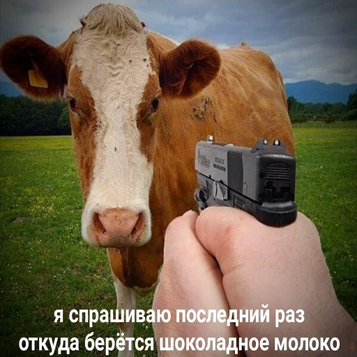 Sticker poparare - 1