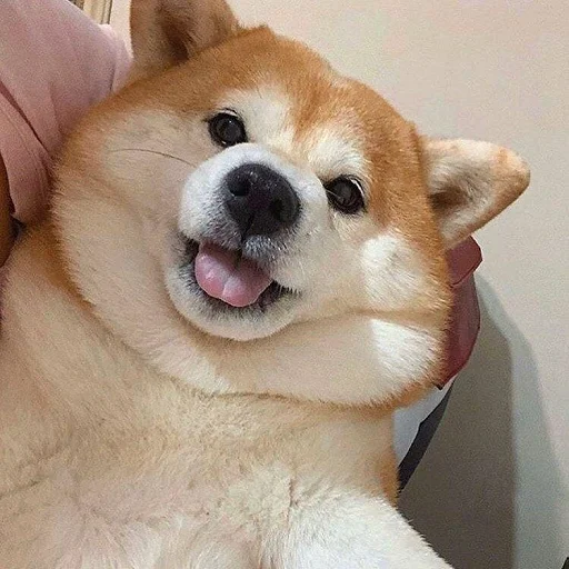 Стикер poparare - 1