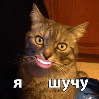 Стикер SUPER POPA PACK ($ VERY RARE! $) - 0