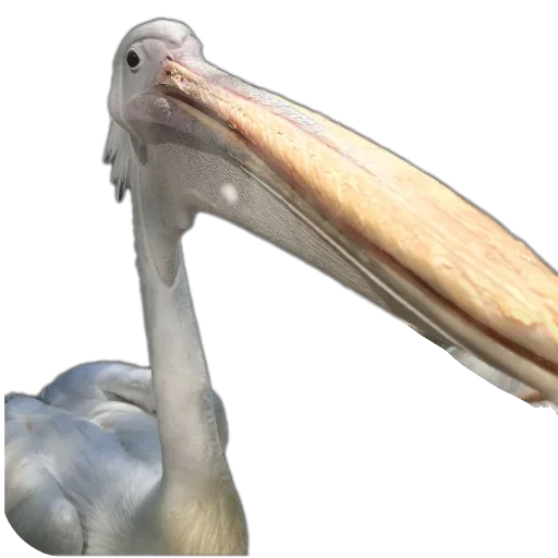 Sticker popit779 - 1