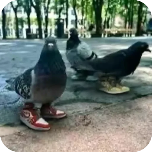 Sticker popit779 - 1