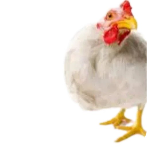 Sticker popit779 - 1