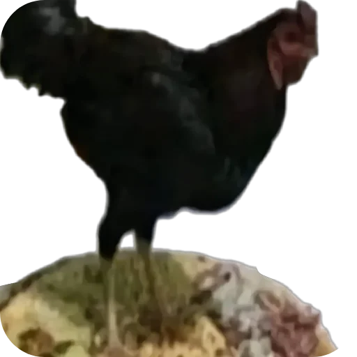 Sticker popit779 - 1