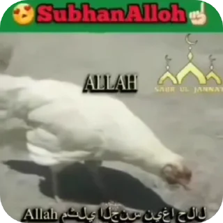 Sticker попит - 10