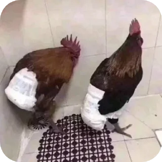 Sticker попит - 7