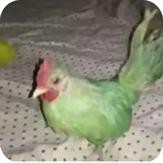 Sticker попит - 9