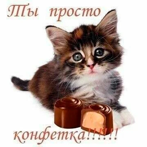 Sticker popka_aegisa - 1