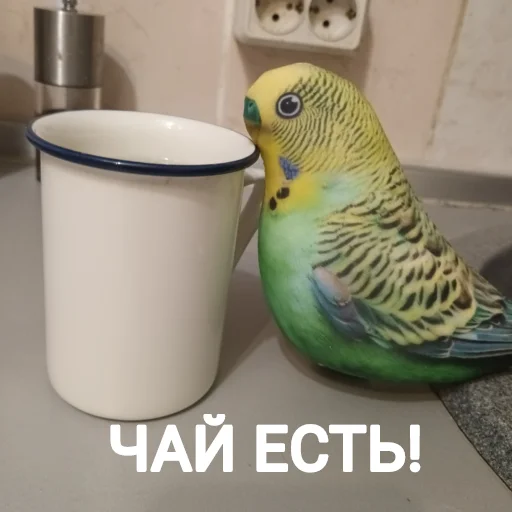 Стикер popugaBMP - 1