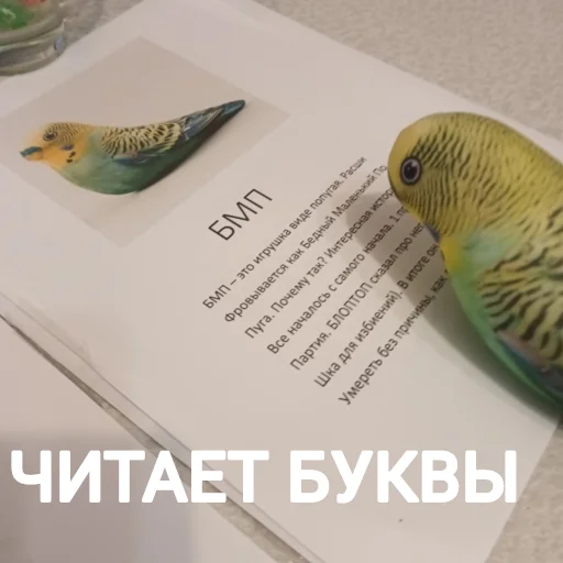 Sticker popugaBMP - 1