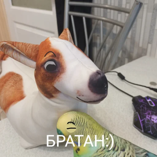 Стикер popugaBMP - 1