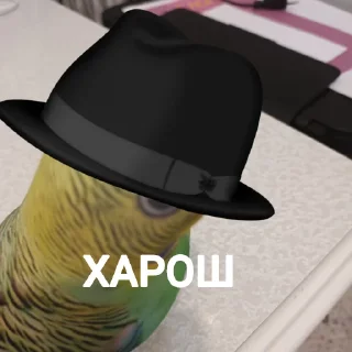 Sticker ПОПУГА БЛОПТОП - 10