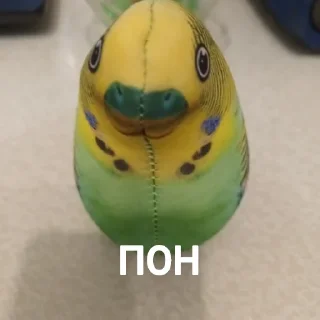 Sticker ПОПУГА БЛОПТОП - 0