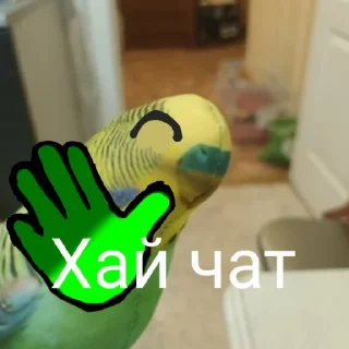 Sticker ПОПУГА БЛОПТОП - 5