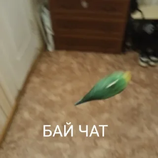 Sticker ПОПУГА БЛОПТОП - 4