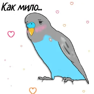 Стикер Попугайчик от ┈♛Евгеши ♛┈ @Qj8yMAlwax9iNDli - 3