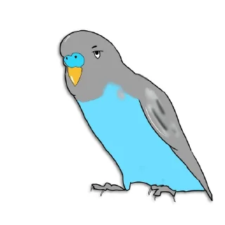 Стикер Попугайчик от ┈♛Евгеши ♛┈ @Qj8yMAlwax9iNDli - 6