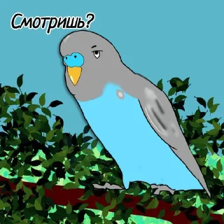 Стикер Попугайчик от ┈♛Евгеши ♛┈ @Qj8yMAlwax9iNDli - 4