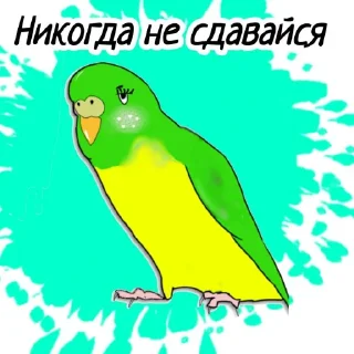 Стикер Попугайчик от ┈♛Евгеши ♛┈ @Qj8yMAlwax9iNDli - 7