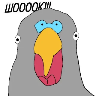 Стикер Попугайчик от ┈♛Евгеши ♛┈ @Qj8yMAlwax9iNDli - 5