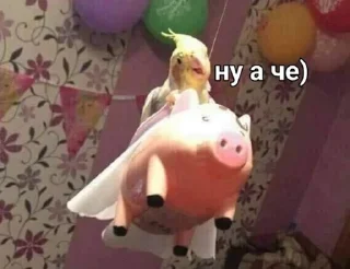 Стикер Милые попугаи 🦜 ➡️ @lovestiks - 11