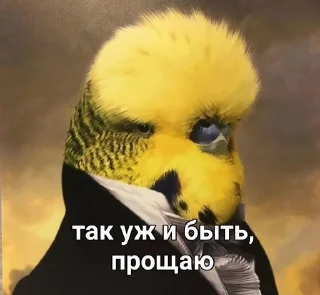 Стикер Милые попугаи 🦜 ➡️ @lovestiks - 0