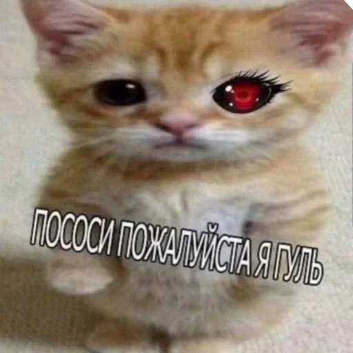 Sticker poqqpqppoq123 - 1