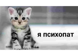 Стикер meh. - 6