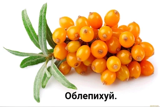 fruit natural foods produce