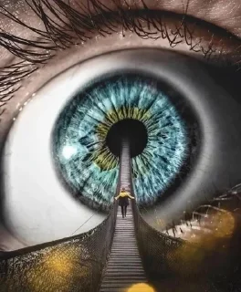 Sticker Dobrobro11 - 5